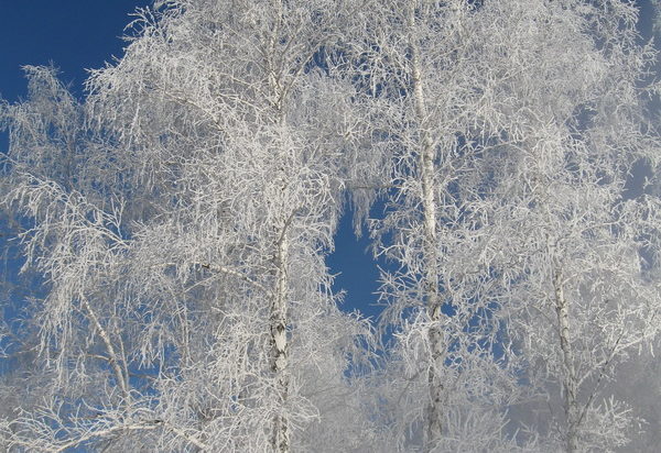 Фото города Кургана зимой Фото города Кургана зимой