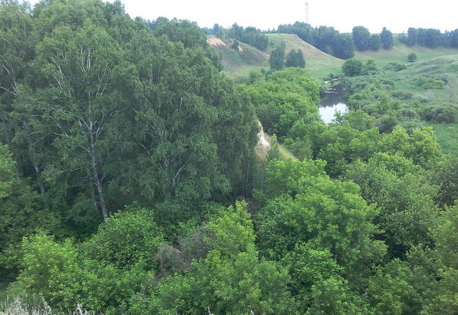 Фото города Кургана лето Фото города Кургана лето