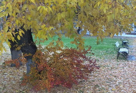 Фото города Кургана осень Фото города Кургана осень